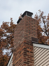 Top Leader Construction Roofing and Chimney Projects